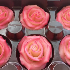 Martsipaniroos suur varjundiga roosa