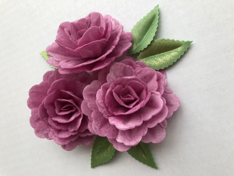Vahvliroos suur lilla 3tk+6 lehte