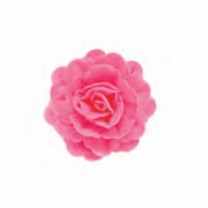 Vahvliroos suur Fuksiaroosa varjundiga 3tk+6 lehte