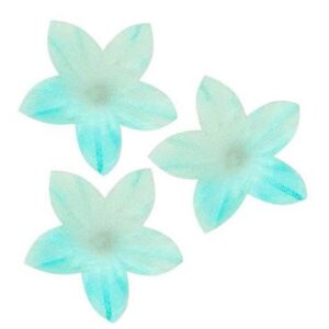 Vahvlililled mini Sinised varjundiga 50tk