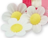 Vahvlilill meelespea valge 10tk