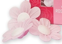 Vahvlilill meelespea roosa 10tk