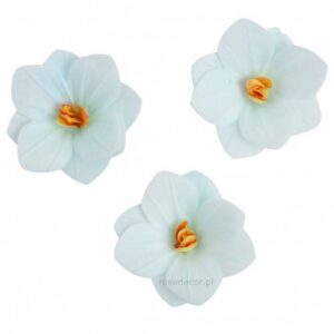 Vahvlilill Hortensia helesinine 6tk