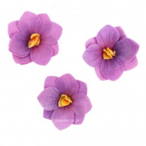 Vahvlilill Hortensia lilla 6tk