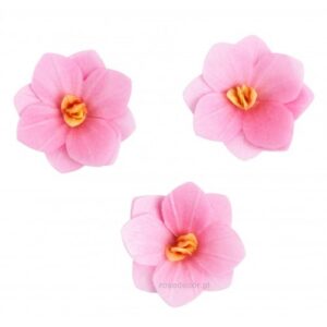 Vahvlilill Hortensia roosa 6tk