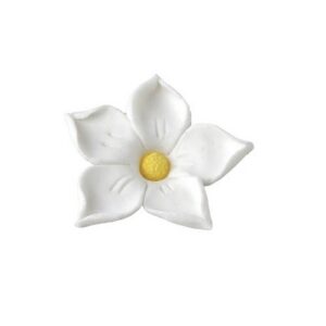 Suhkrudekoor Jasmiin Valge 5tk Parim enne: 09-08-25