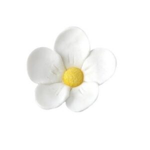 Õunapuu õied valged 5tk