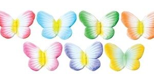 Suhkruliblikad mix 5tk