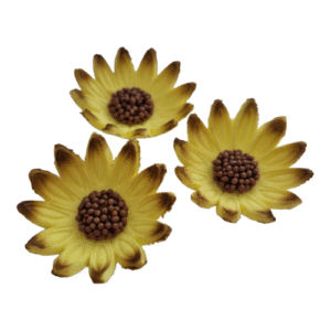 Põldlill Kollane 3tk