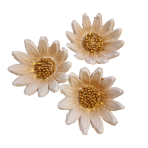 Põldlill valge/ kuld 3tk