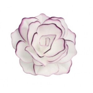 Vahvliroos valge lilla äärega 1tk
