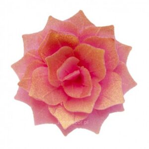 Vahvlilill Rosalia roosa/kuld 5tk