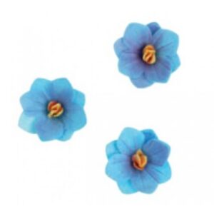 Vahvlilill Hortensia sinine 6tk