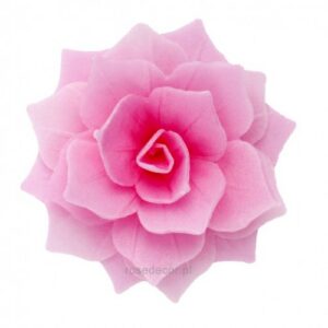 Vahvlilill Rosalia roosa 5tk