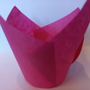 Muffinitulp Fuksiaroosa 25tk