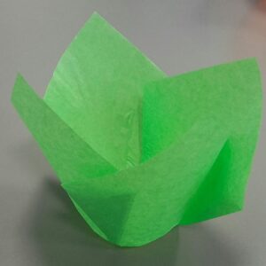 Muffinitulp Heleroheline 25tk