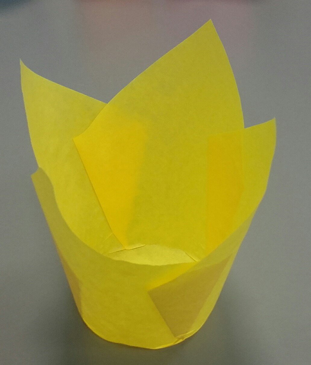 Muffinitulp Kollane 25tk