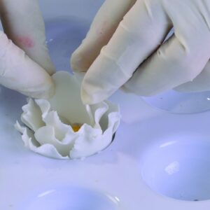 Alus lillede kuivatamiseks 45-le