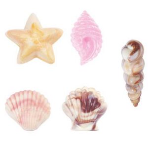 Šokolaadivorm plastikust Merekarbid