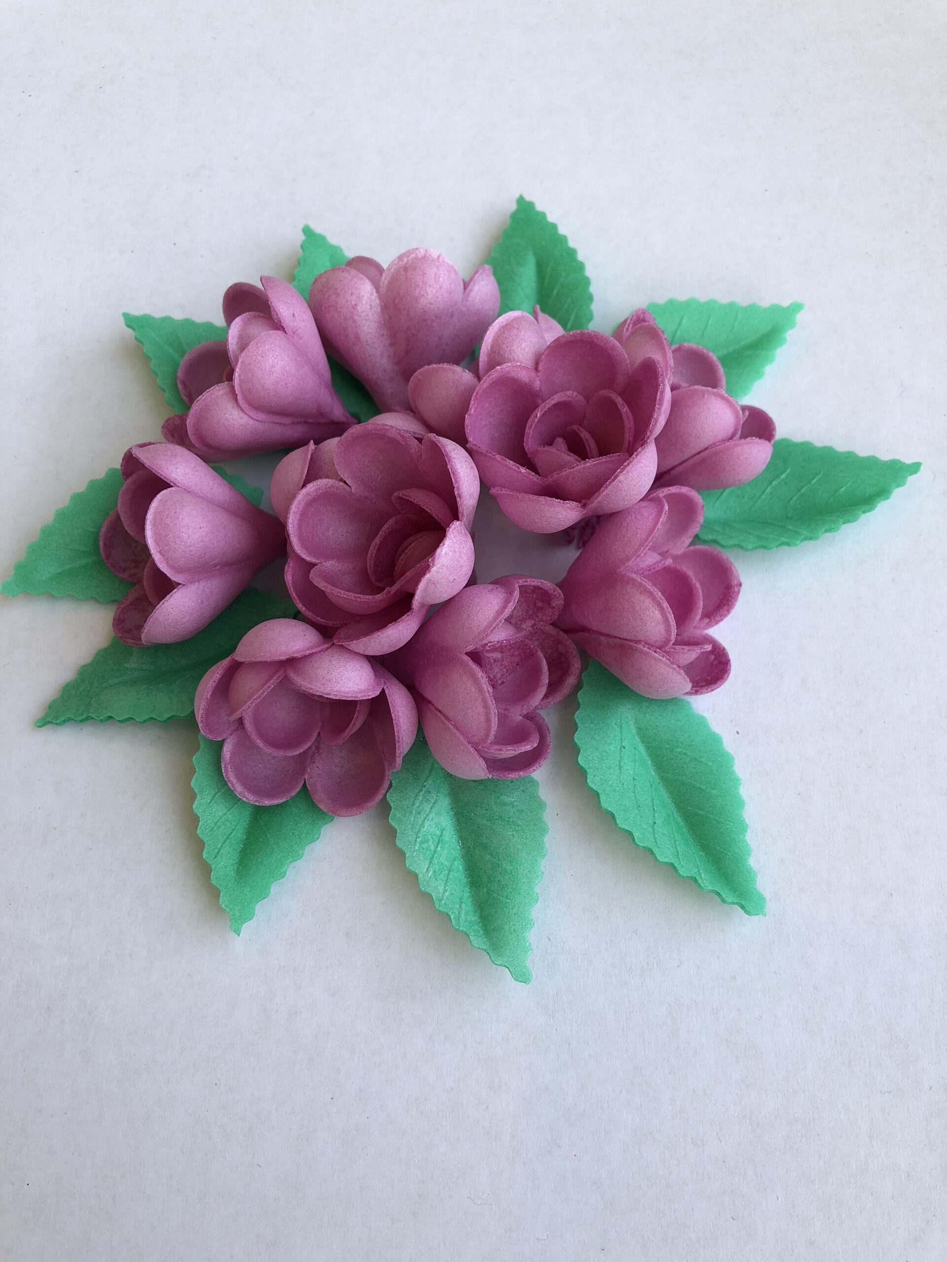 Vahvlilill roos väike lilla10tk+10lehte