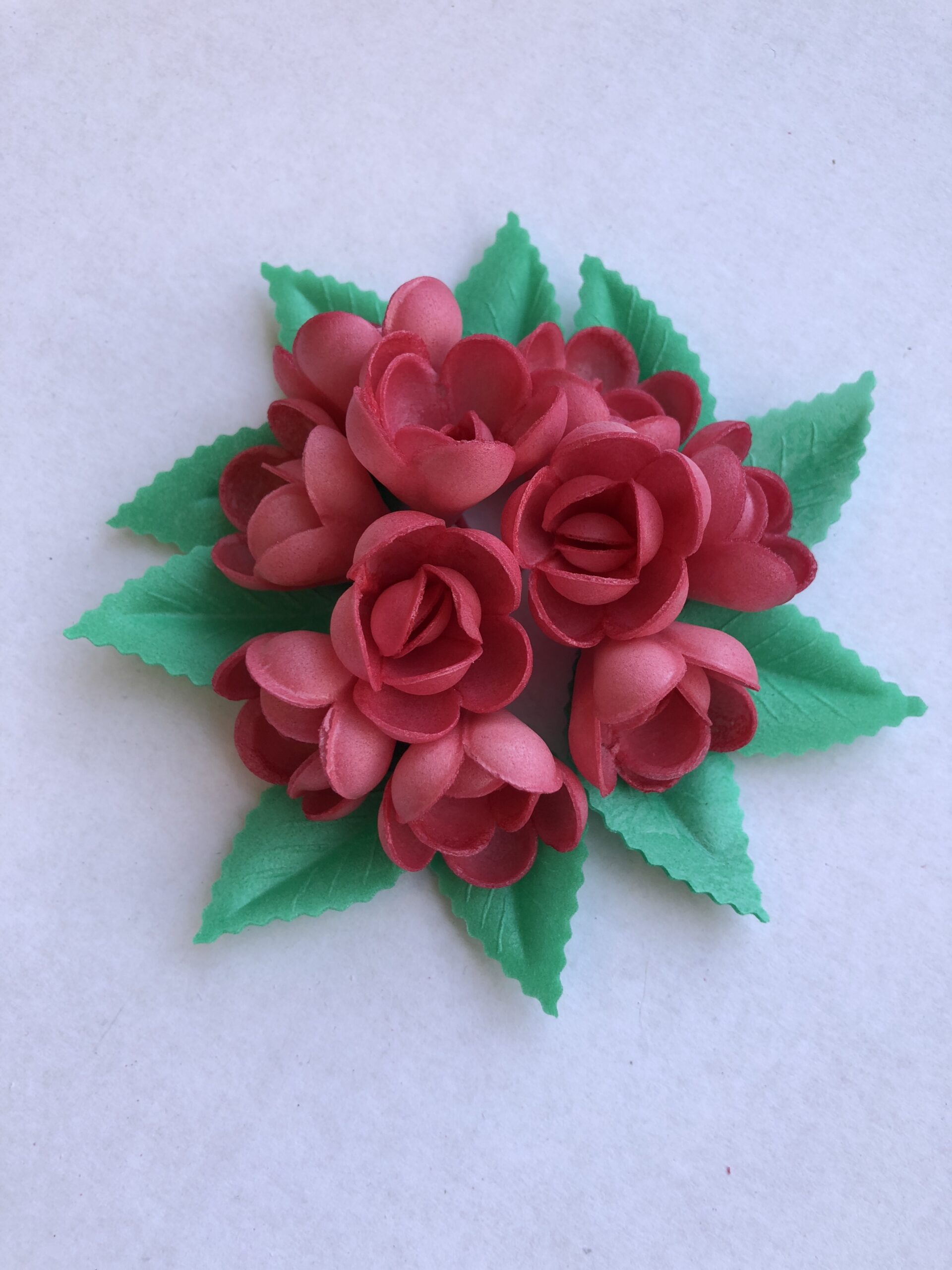 Vahvlilill roos väike punane 10tk+10lehte