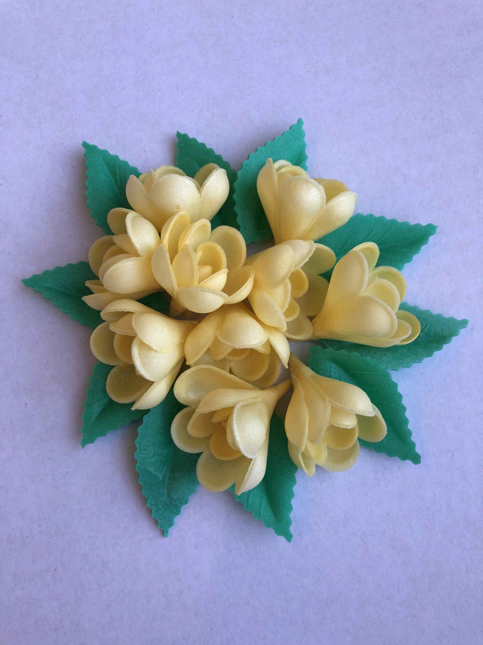 Vahvlilill roos väike kollane 10tk+10lehte