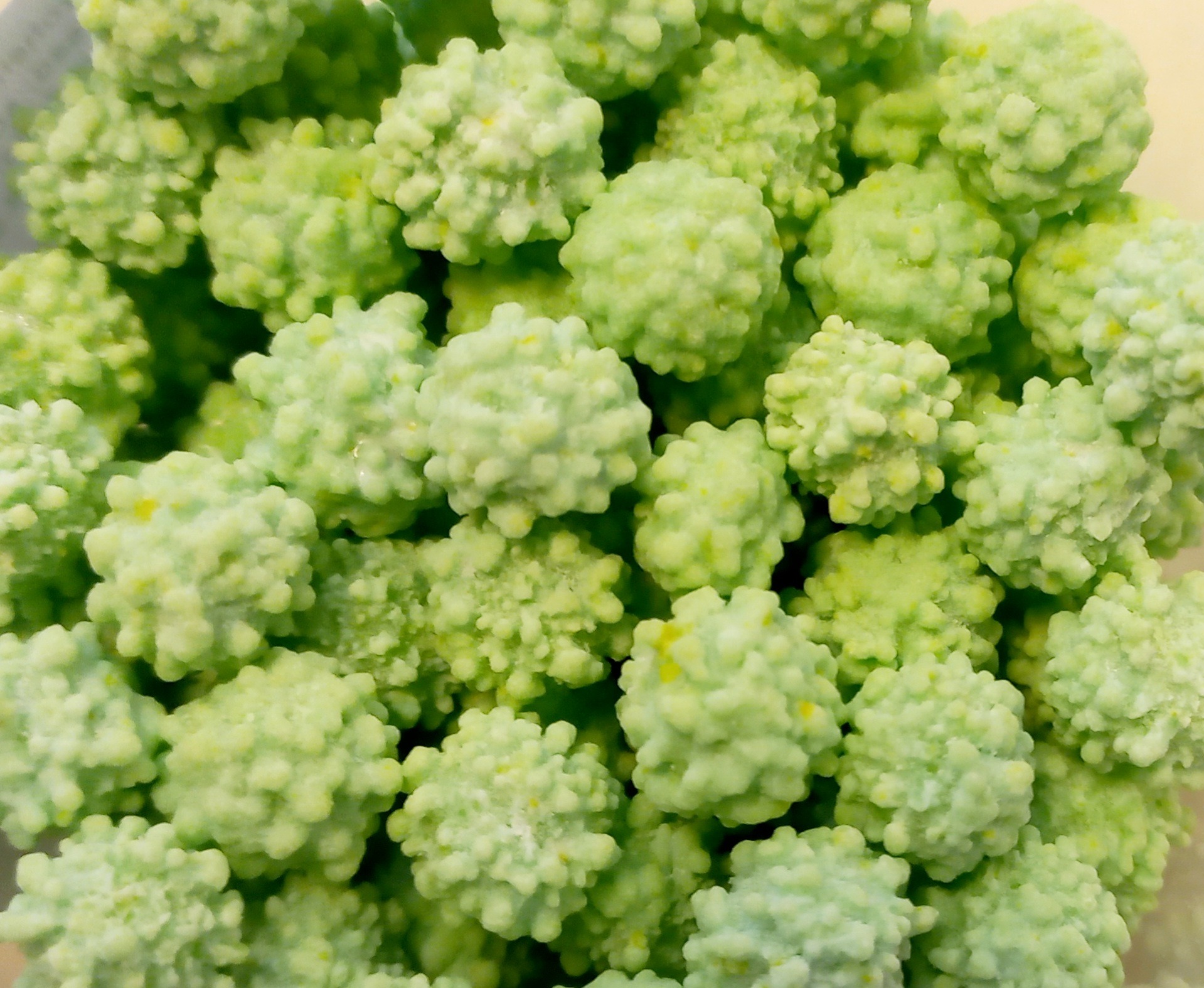 Mimosa roheline 50g
