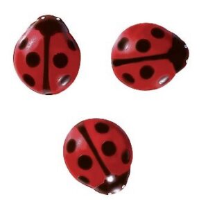 Lepatriinud šokolaadist 10tk