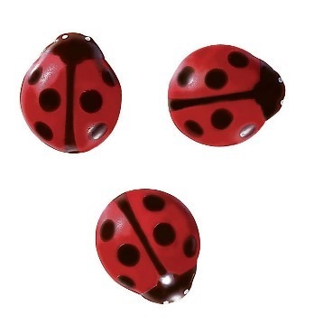 Lepatriinud šokolaadist 10tk