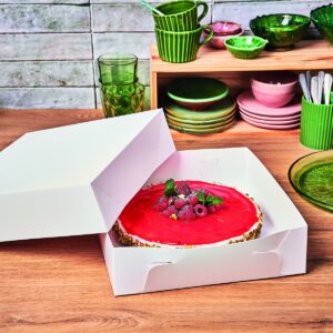 Tordikarp Funcakes 40*40*8cm